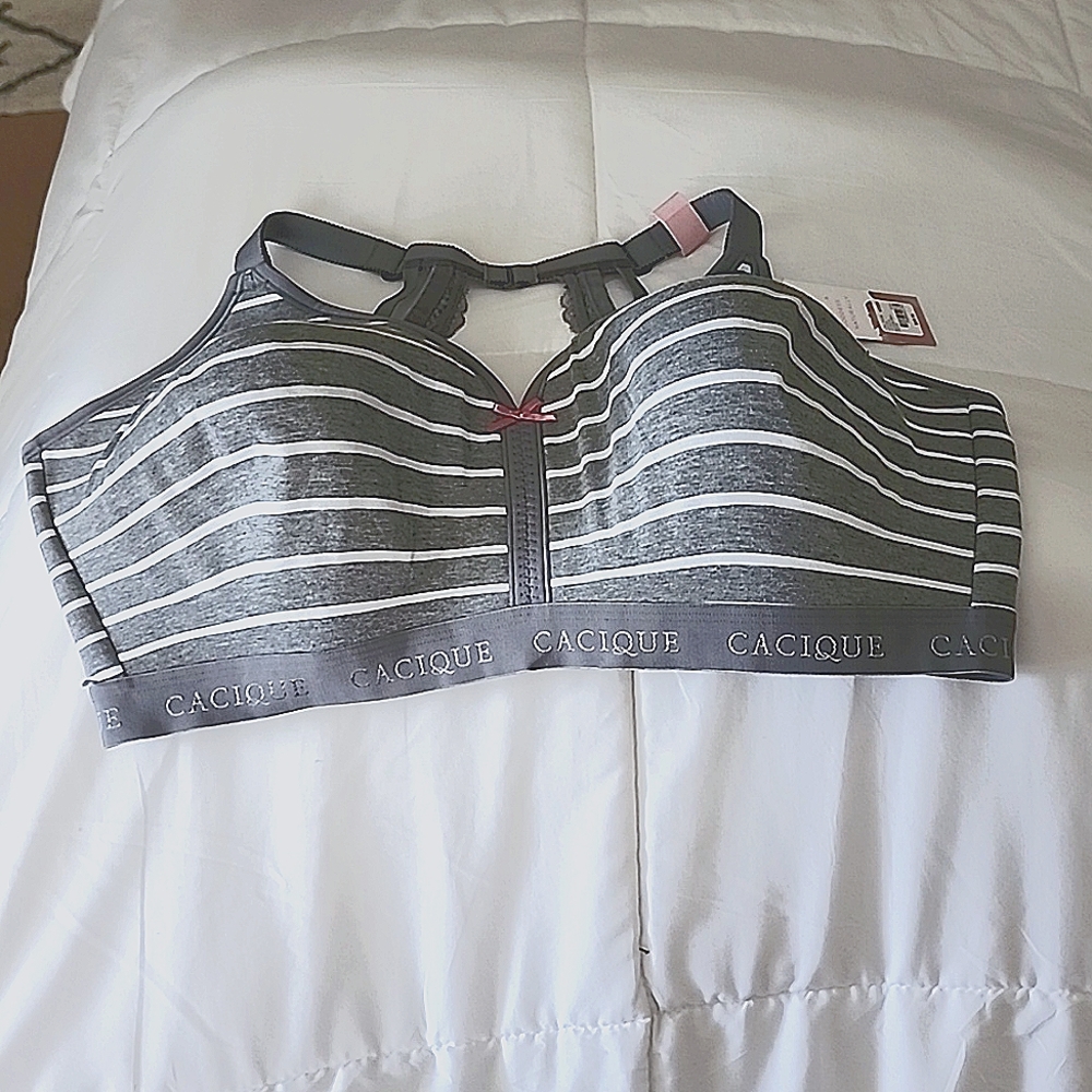 Lane Bryant Striped Bra
